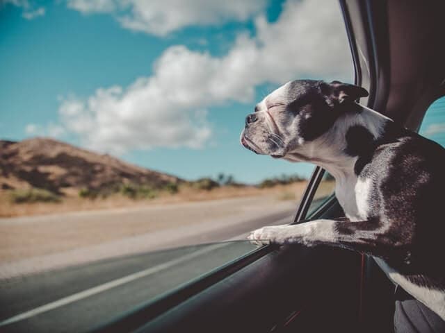 Informativ und kurios: 7 Fakten zum Thema Auto