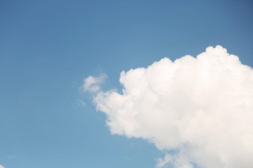 Lokal oder in der Cloud? Software Lösungen im Vergleich